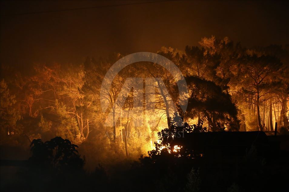 Muğla'daki orman yangını