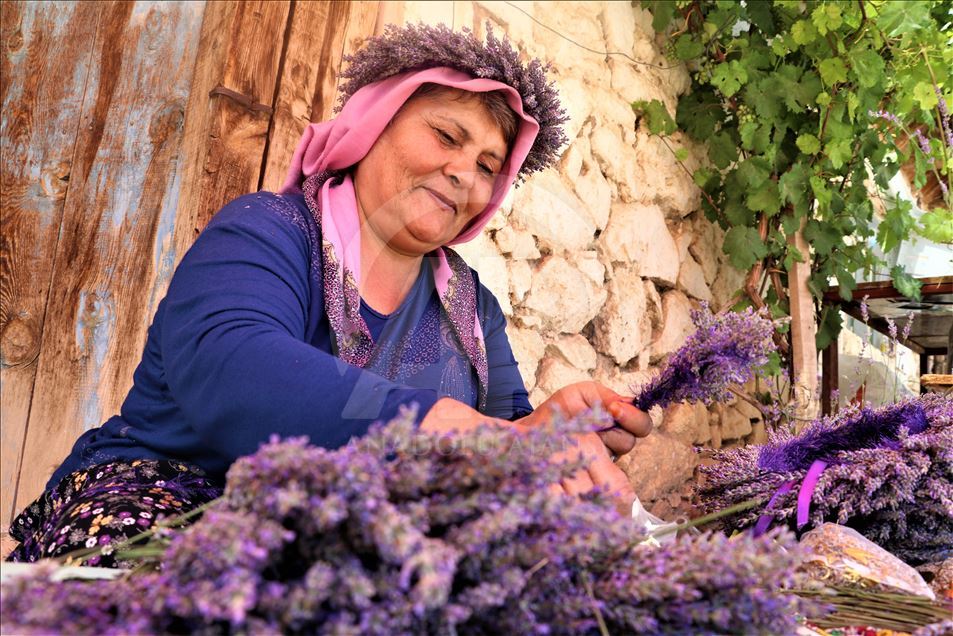 Kuyucaklı kadınların ekmek kapısı "lavanta"