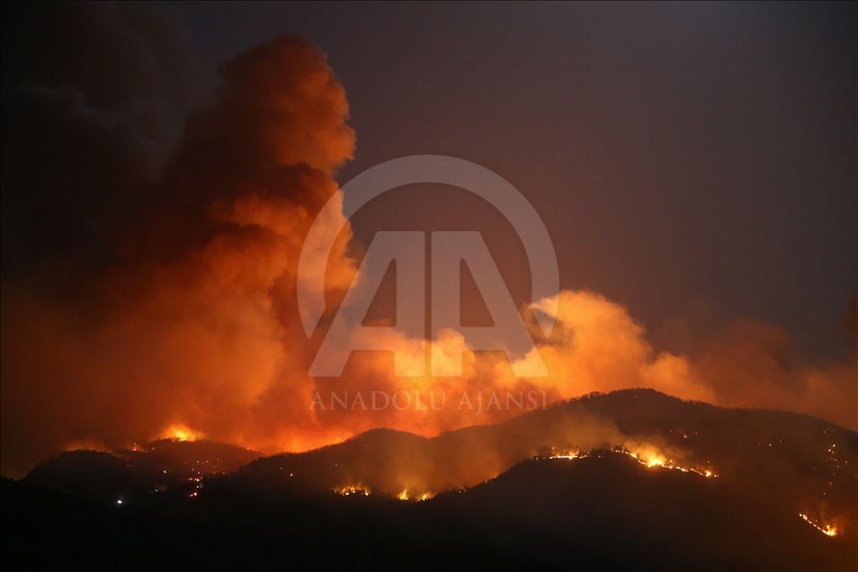 ادامه تلاش‌ها برای مهار آتش سوزی در جنگل‌های استان موغلا ترکیه