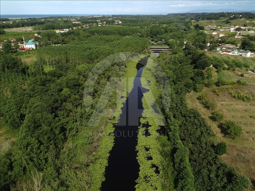 Acarlar Floodplain in Turkey's Sakarya