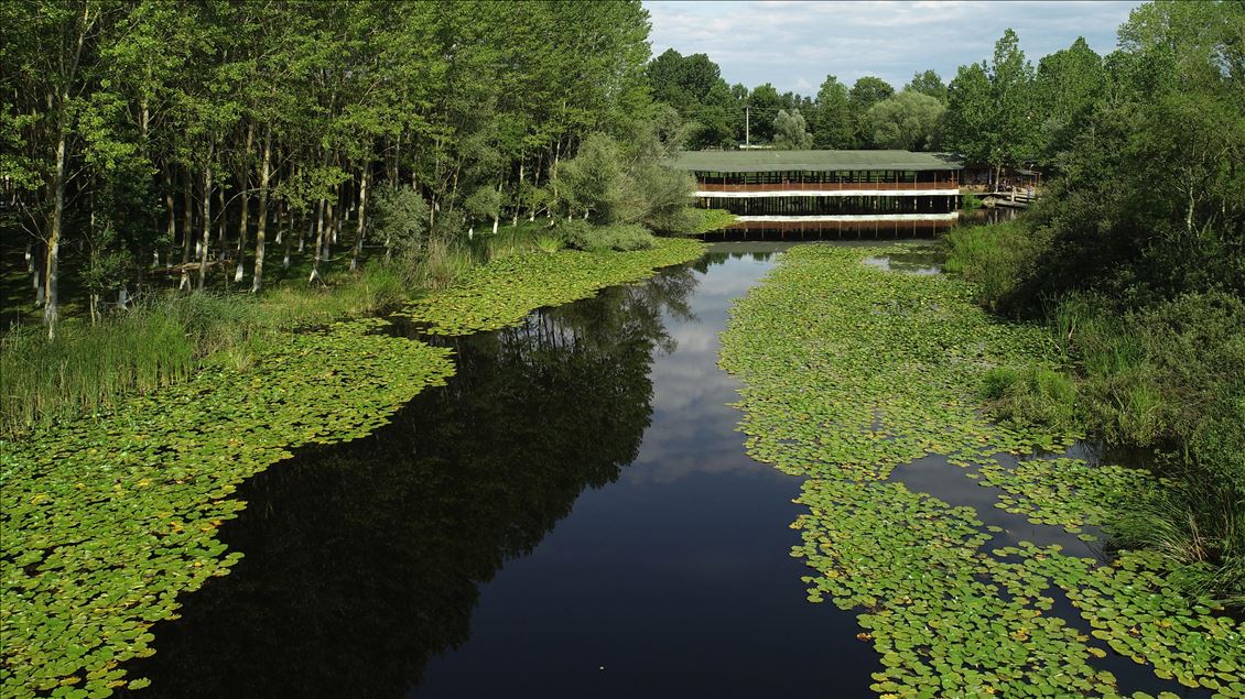 Acarlar Floodplain in Turkey's Sakarya