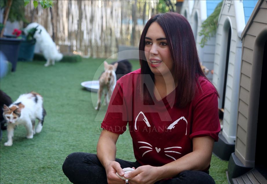 Filistin'de "Hiba'nın Barınağı" sokak kedileri için güvenli bir ev
