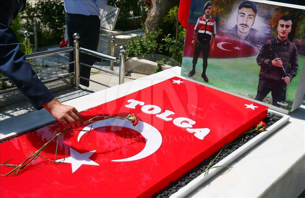 15 Temmuz Demokrasi ve Milli Birlik Günü