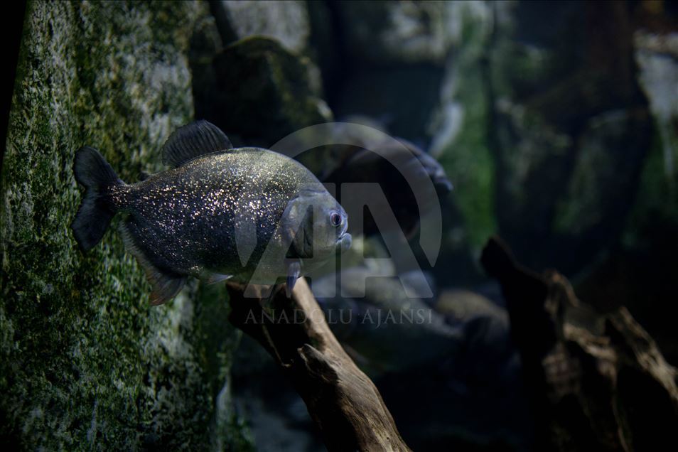 Colombia Country of water Exhibition