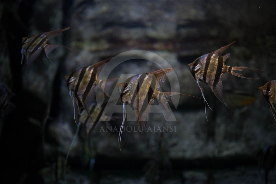 Colombia Country of water Exhibition