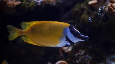 Colombia Country of water Exhibition