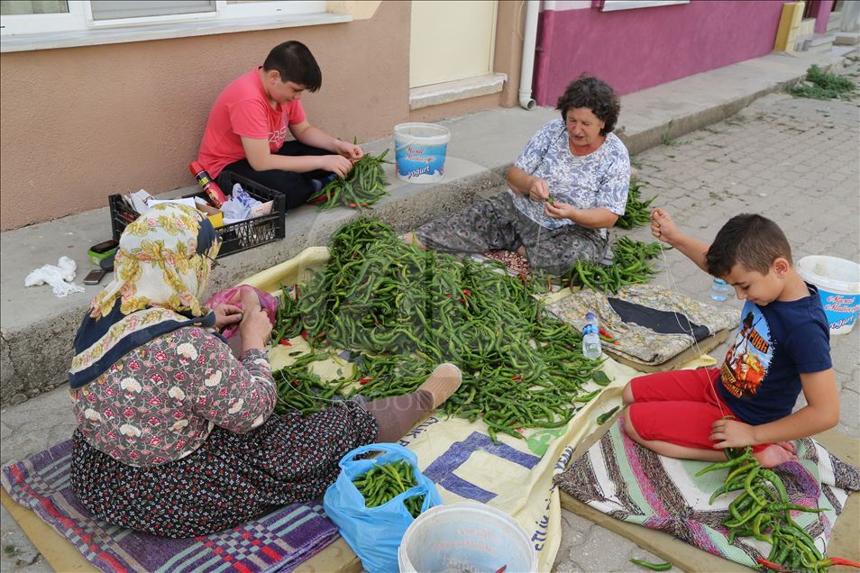 Tarlaya "en acı mesai" için girdiler
