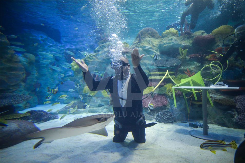 Freediving record holder Ufuk Kocak's book