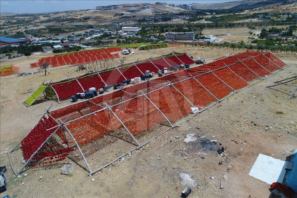 Rengarenk "Antep kurutmalıkları" tezgahlara asıldı