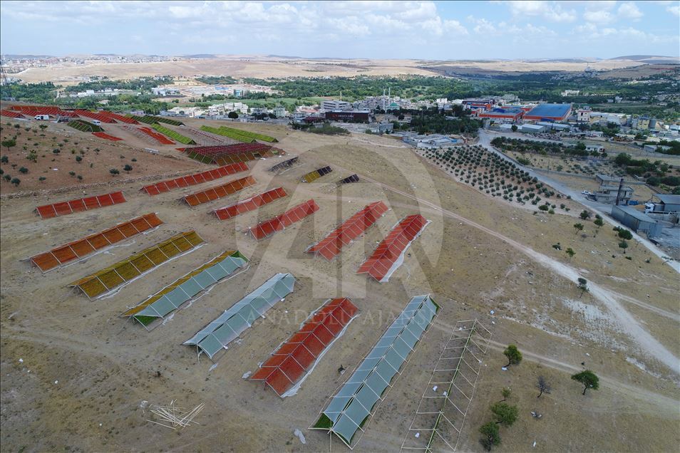 Rengarenk "Antep kurutmalıkları" tezgahlara asıldı