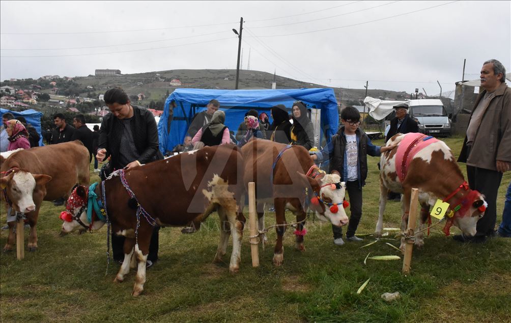 18. Geleneksel Çambaşı Yaylası Festivali