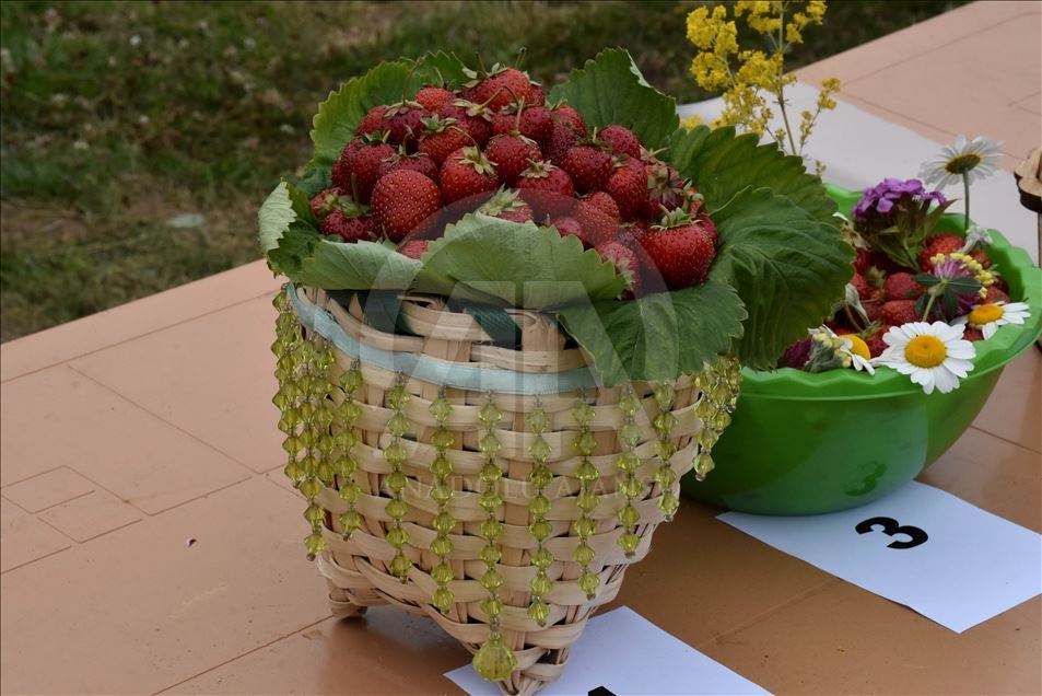18. Geleneksel Çambaşı Yaylası Festivali