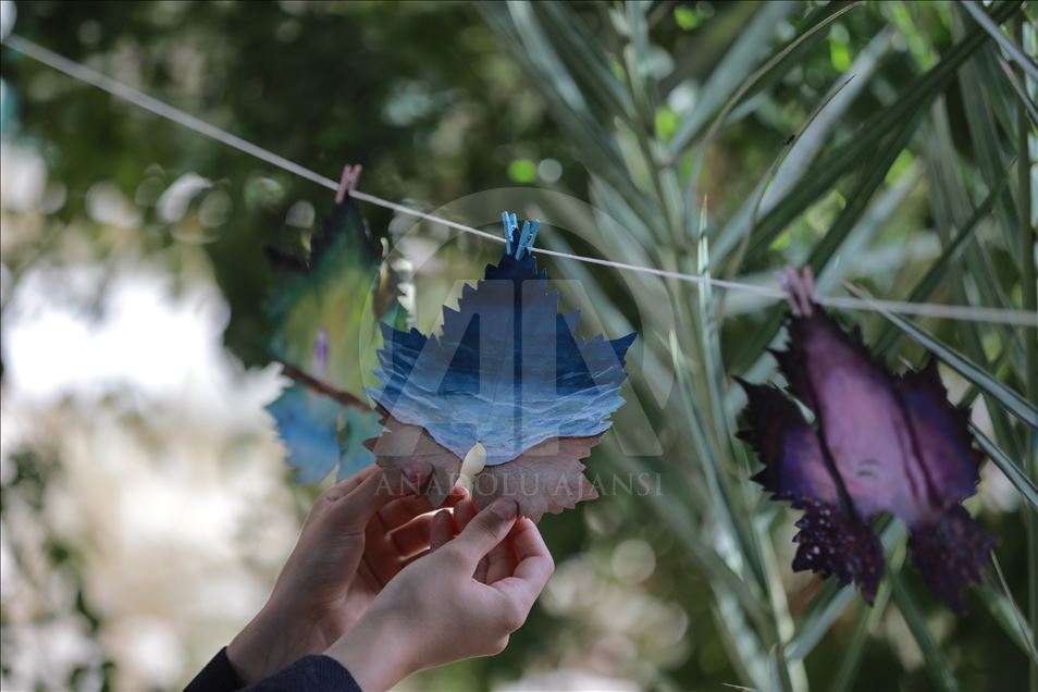 Palestinian girl turns grape leaves into pieces of art