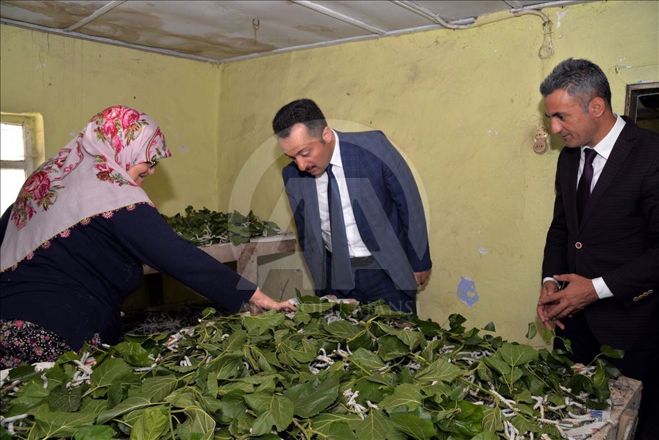 "Bir ipek böceğinin hikayesi"