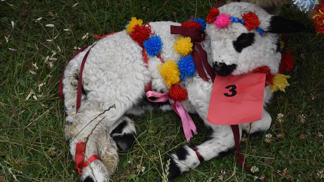 18. Geleneksel Çambaşı Yaylası Festivali