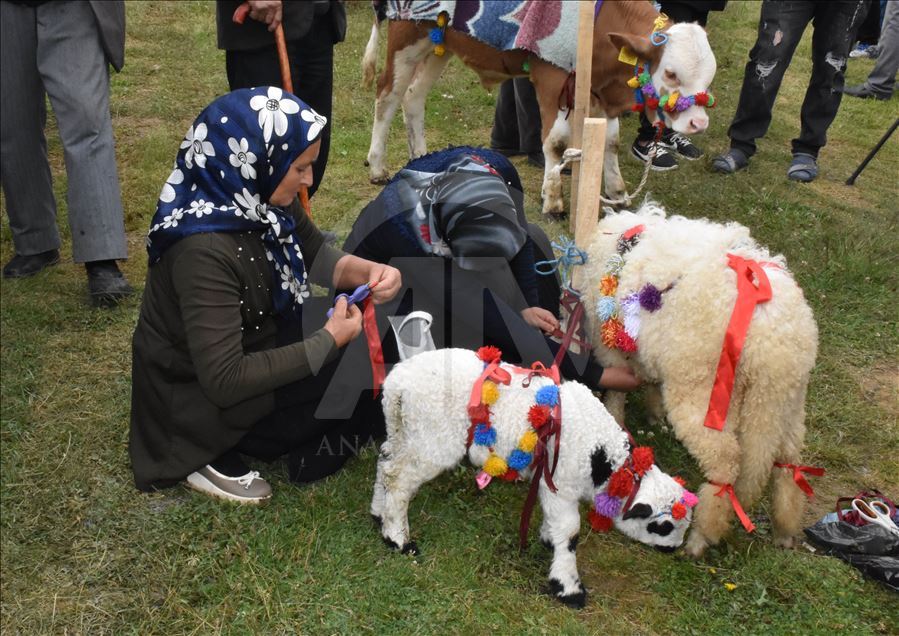 18. Geleneksel Çambaşı Yaylası Festivali