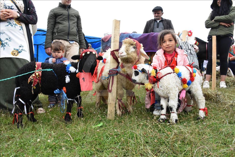 18. Geleneksel Çambaşı Yaylası Festivali