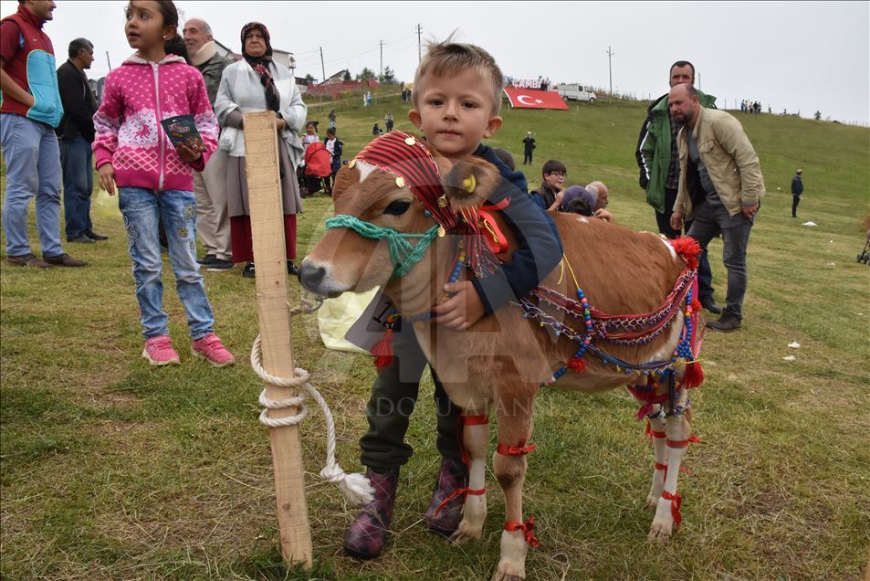 18. Geleneksel Çambaşı Yaylası Festivali