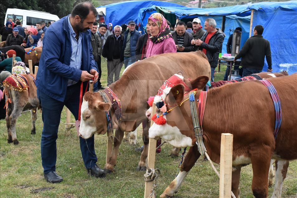 18. Geleneksel Çambaşı Yaylası Festivali