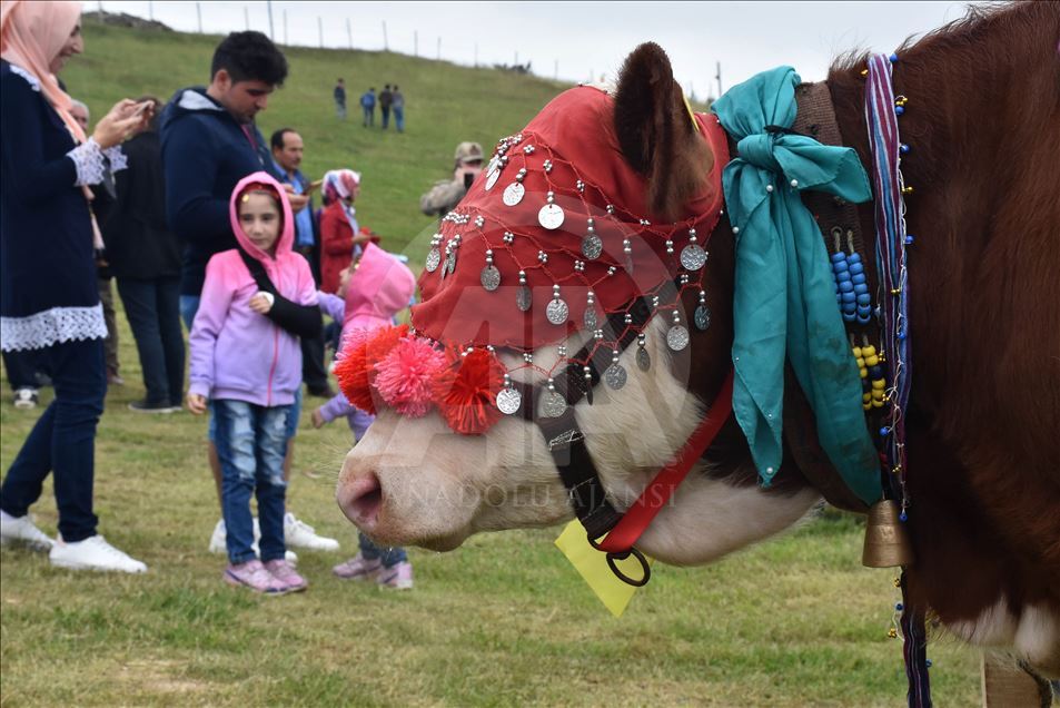 18. Geleneksel Çambaşı Yaylası Festivali