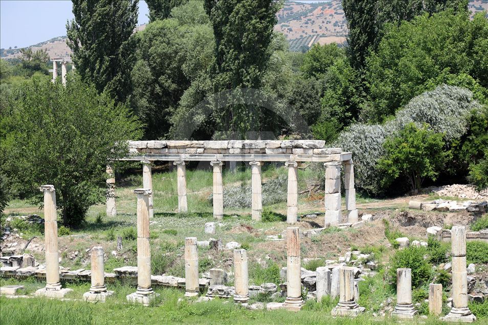 «Улица Истиклаль» в античном Афродисиасе 