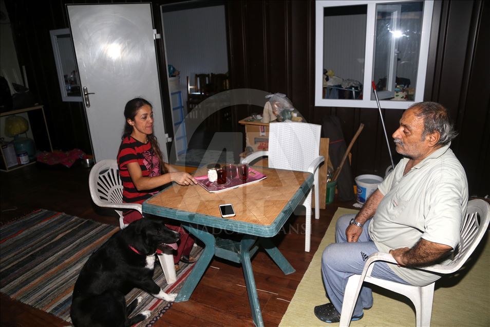 Engelli sokak köpekleri için kurulan "Patiköy" elektrik ve su bekliyor