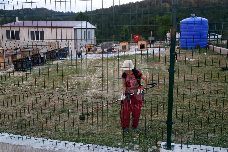 Engelli sokak köpekleri için kurulan "Patiköy" elektrik ve su bekliyor