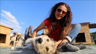 Engelli sokak köpekleri için kurulan 'Patiköy' elektrik ve su bekliyor