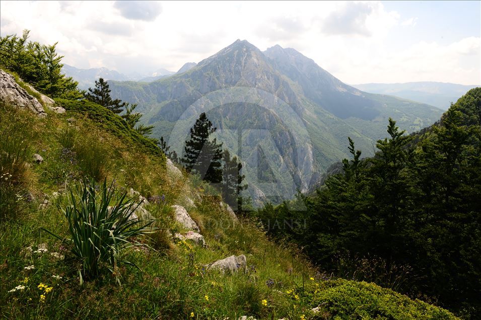 Природные красоты Боснии и Герцеговины - Национальный парк Сутьеска 