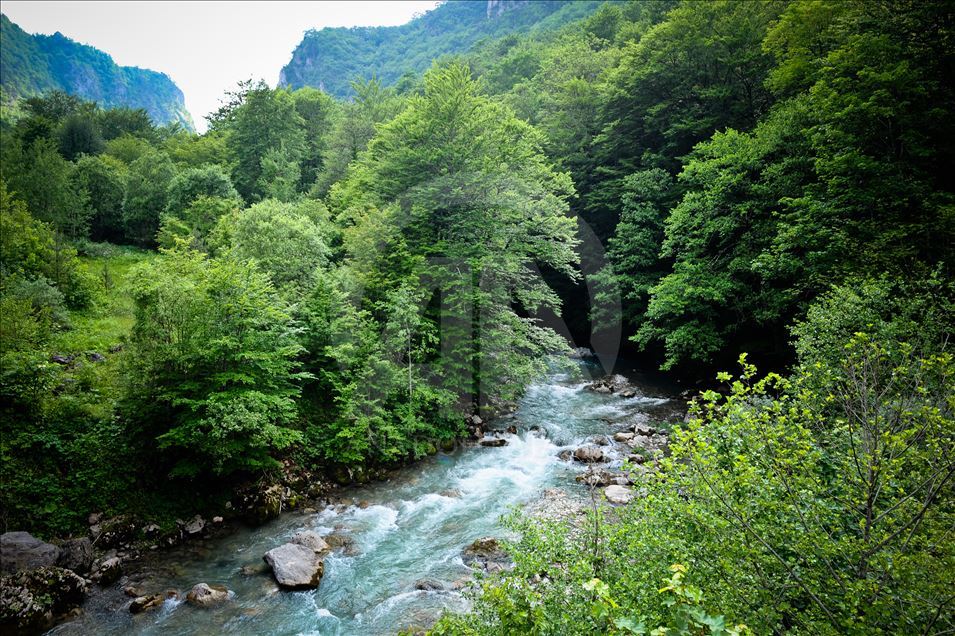 Природные красоты Боснии и Герцеговины - Национальный парк Сутьеска 