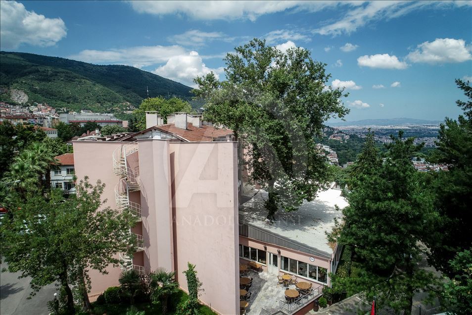 Bursa Orduevi'nin asırlık "çınarları"