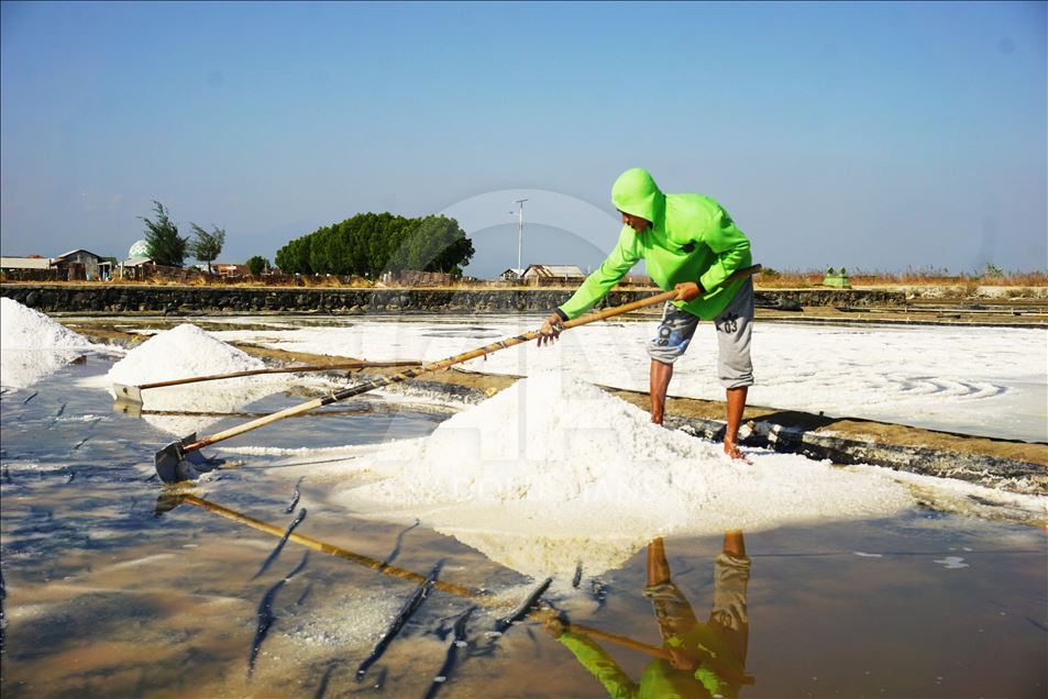 Panen garam di Jepara, Jawa Tengah