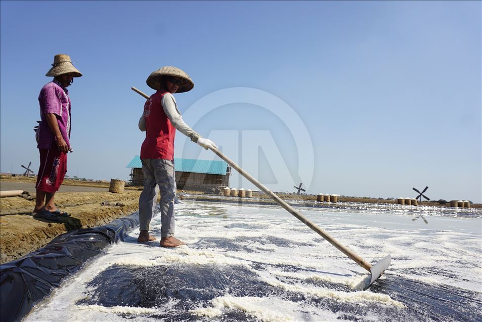 Panen garam di Jepara, Jawa Tengah