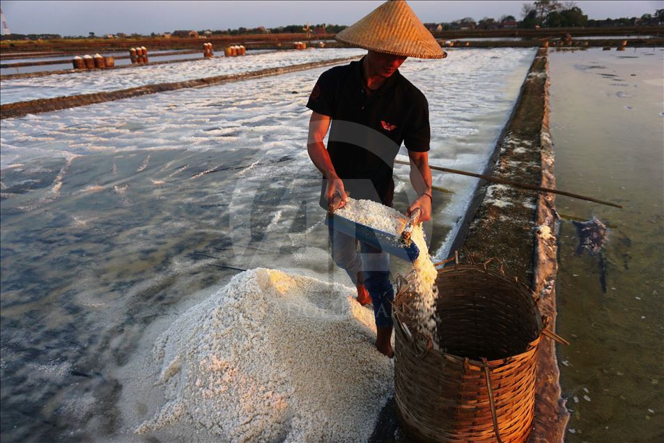 Panen garam di Jepara, Jawa Tengah