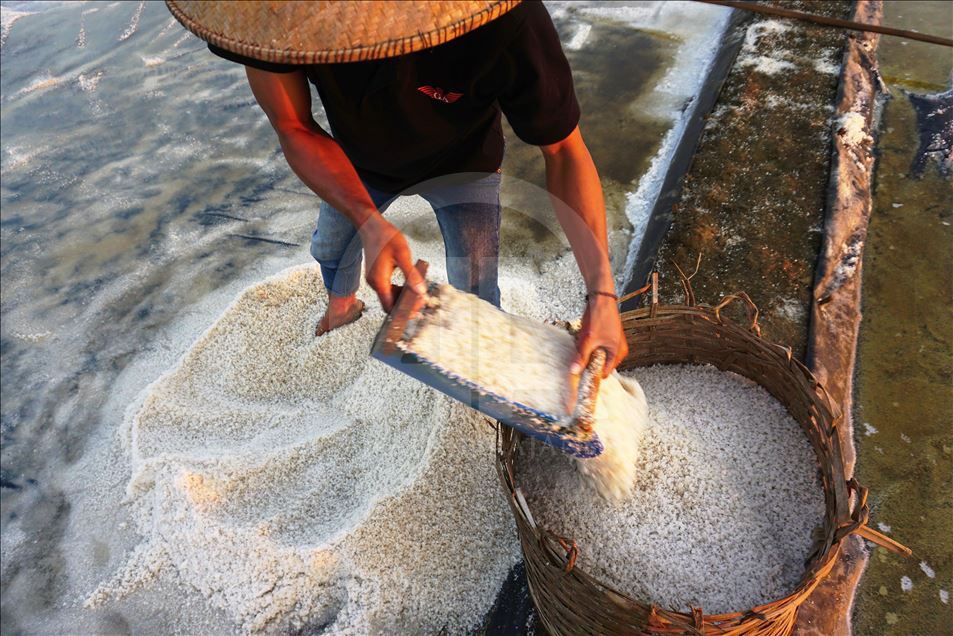 Panen garam di Jepara, Jawa Tengah