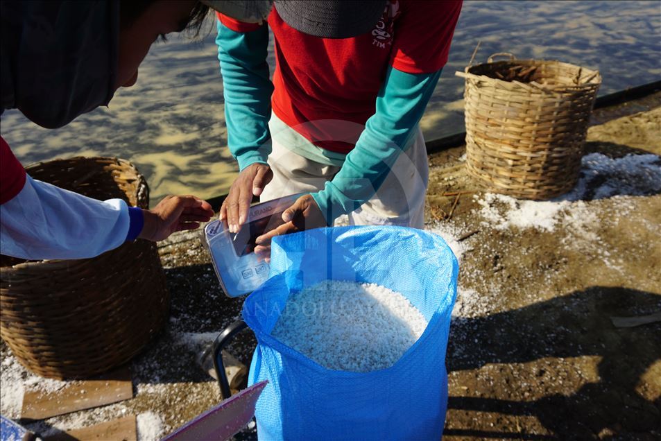 Panen garam di Jepara, Jawa Tengah