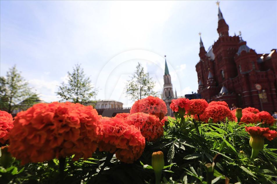 Festival de las flores en Moscú