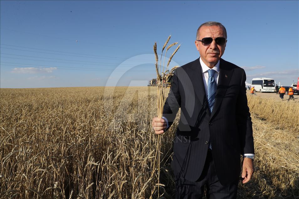 69. Geleneksel Hasat Bayramı
