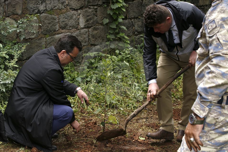 Ethiopians grow green thumb in billion tree drive