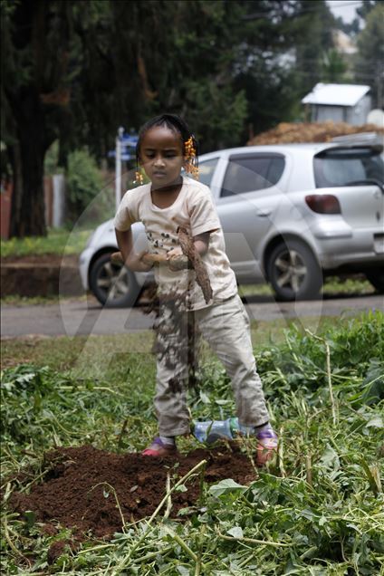 Ethiopians grow green thumb in billion tree drive