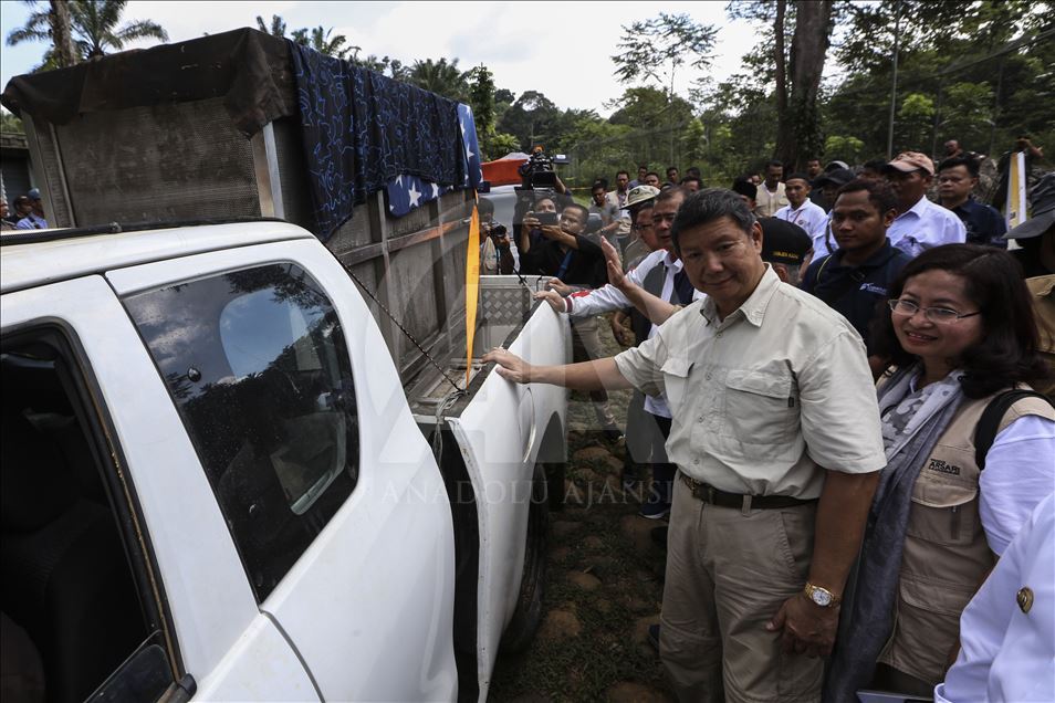 Pelepasan harimau Sumatera ke habitat aslinya