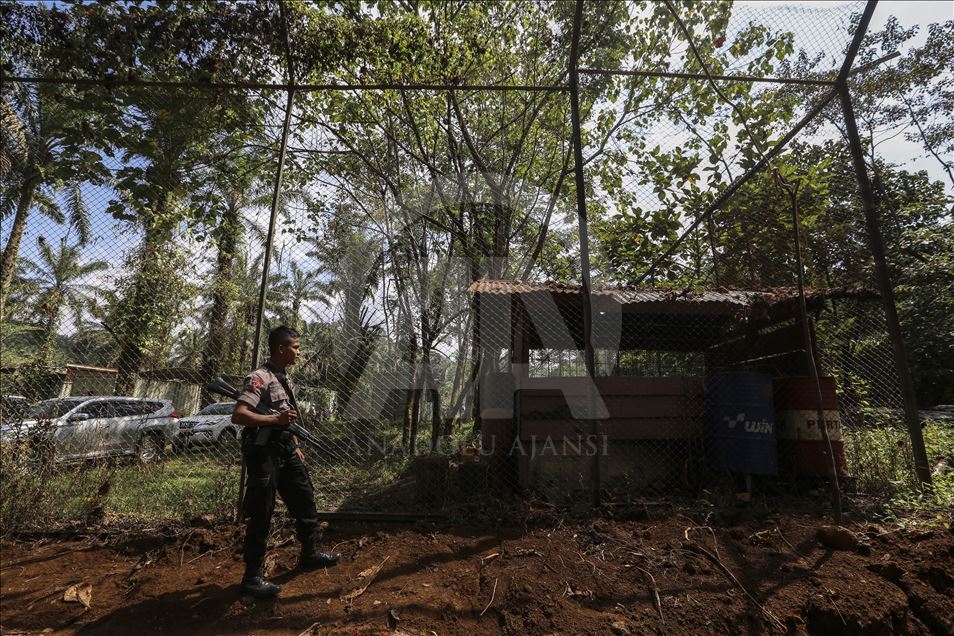 Pelepasan harimau Sumatera ke habitat aslinya
