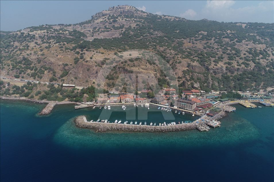 459 Blue Flags Wave at Turkish beaches