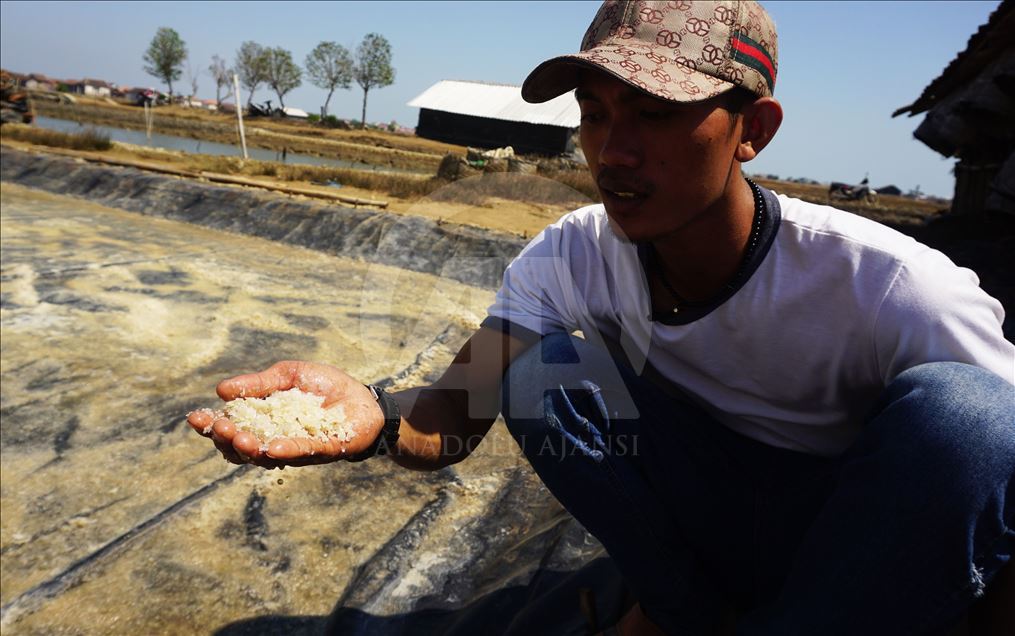 Derita petani garam di musim panen