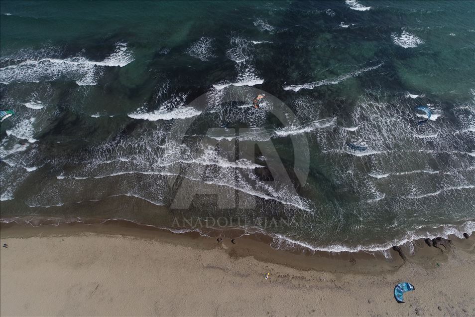 459 Blue Flags Wave at Turkish beaches