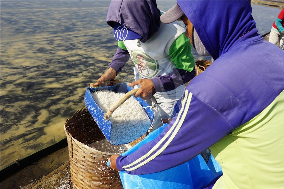 Derita petani garam di musim panen