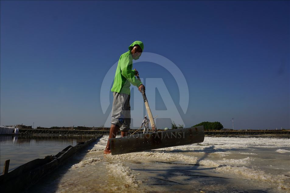 Derita petani garam di musim panen