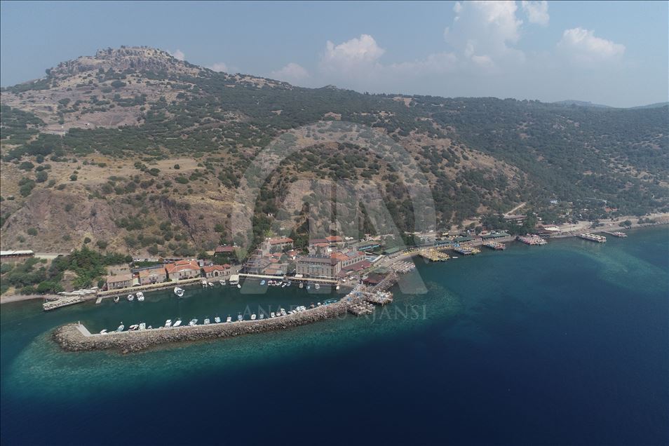 459 Blue Flags Wave at Turkish beaches
