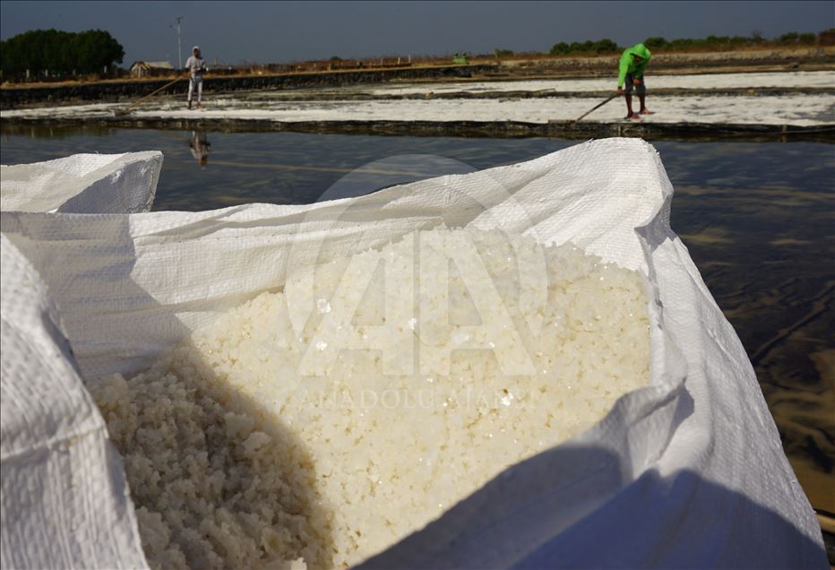 Derita petani garam di musim panen