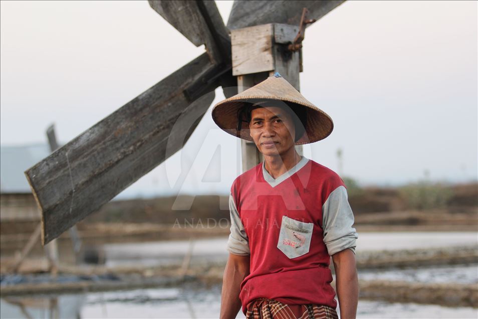 Derita petani garam di musim panen